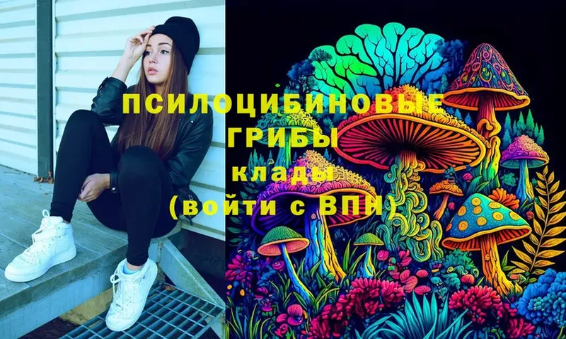 omg вход  Курлово  Псилоцибиновые грибы Psilocybine cubensis 